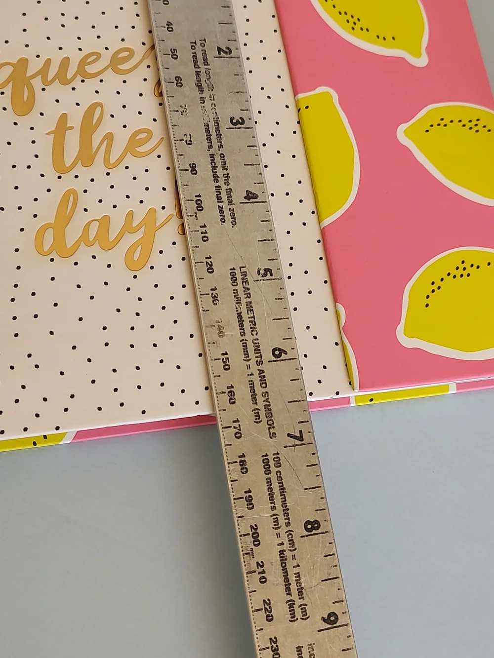 Pink Lemon Print Planner Note Pad Organizer with Gold Script